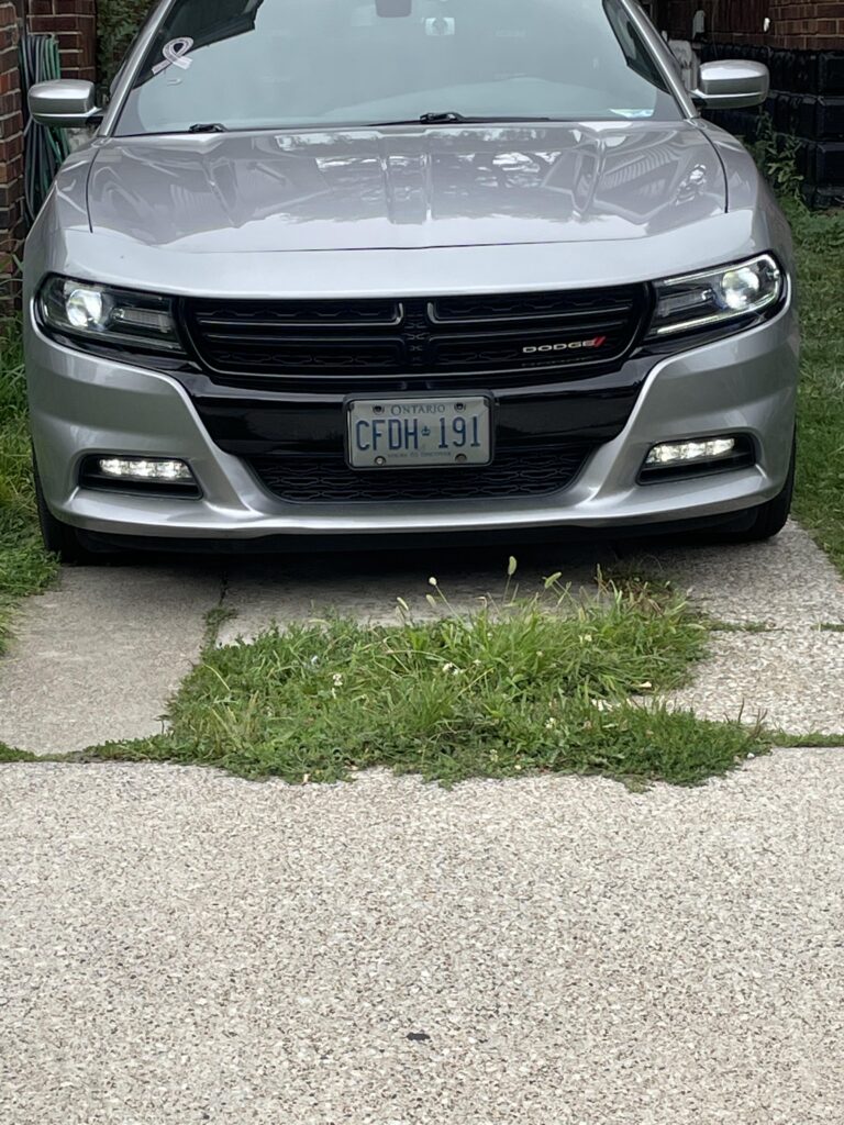 Image #4 from Vince Tersigni